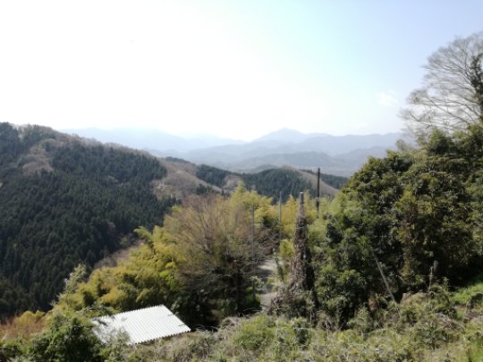 画像9
